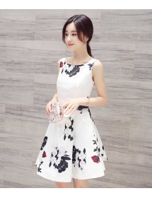 dress import D4493