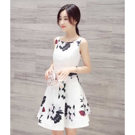 dress import D4493