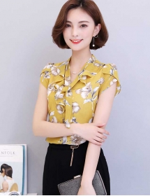 blouse import T4016