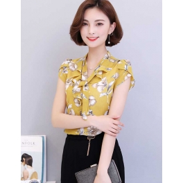 blouse import T4016