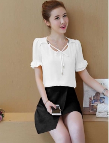 blouse import T4095