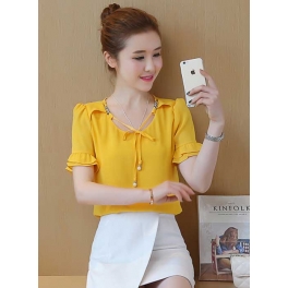 blouse import T4096