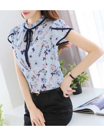 blouse import T4102