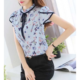 blouse import T4102