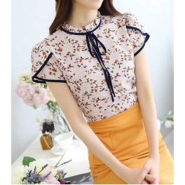 blouse import T4103