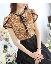 blouse import T4104