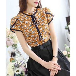 blouse import T4104