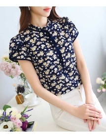 blouse import T4105