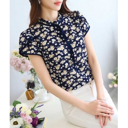 blouse import T4105