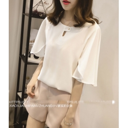 blouse import T4177