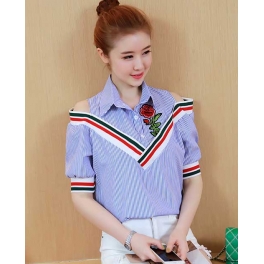 blouse import T4243