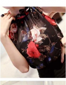 blouse import T4297