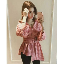 blouse import T4341