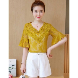 blouse import T4459