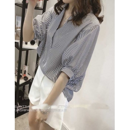 blouse import T4607