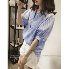 blouse import T4608