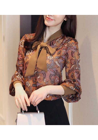 blouse import T4893