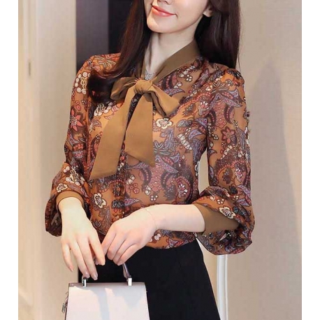 blouse import T4893