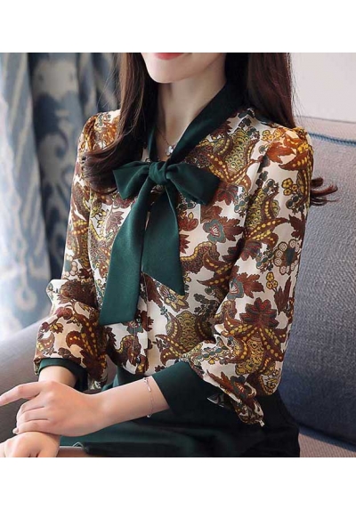 blouse import T4893