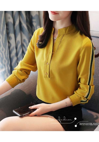 blouse import T4929