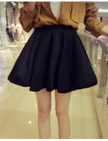 rok mini T1461