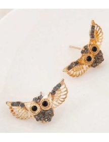 anting owl TT0320