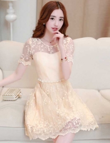 dress pesta korea D2437