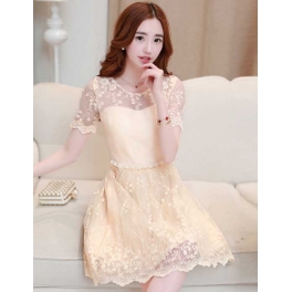 dress pesta korea D2437