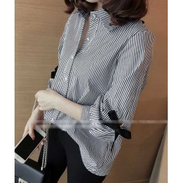 blouse import T3921